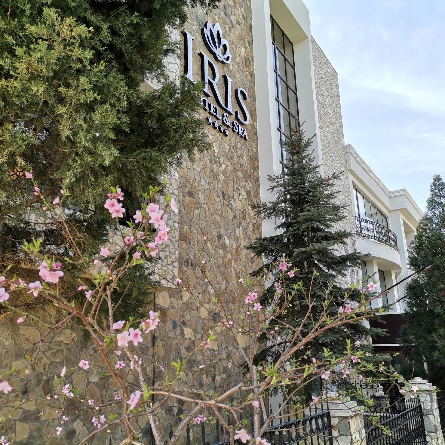 Hotel Iris &